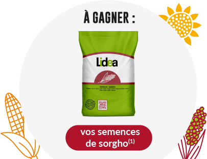 vos semences de colza(1)